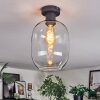 Apedo Plafondlamp Duidelijk, 1-licht