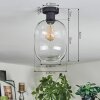 Apedo Plafondlamp Duidelijk, 1-licht