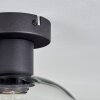 Apedo Plafondlamp Duidelijk, 1-licht