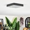Esmar Plafondlamp LED Zwart, 1-licht