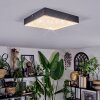 Esmar Plafondlamp LED Zwart, 1-licht
