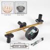 Gastor Kogellampje, Wandlamp Goud, Zwart, 3-lichts