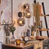 Gastor Kogellampje, Wandlamp Goud, Zwart, 3-lichts