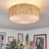 Foggia Plafondlamp Nikkel mat, 3-lichts