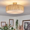 Foggia Plafondlamp Nikkel mat, 3-lichts