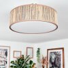 Foggia Plafondlamp Nikkel mat, 3-lichts