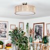Foggia Plafondlamp Nikkel mat, 3-lichts