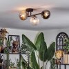 Chehalis Plafondlamp, Kogellampje Amber, Duidelijk, Rookkleurig, 3-lichts
