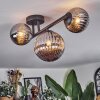 Chehalis Plafondlamp, Kogellampje Rookkleurig, 3-lichts