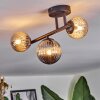Chehalis Plafondlamp, Kogellampje Amber, Rookkleurig, 3-lichts