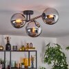 Gastor Plafondlamp, Kogellampje Chroom, Rookkleurig, 3-lichts