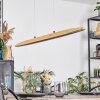 Fugelsta Hanglamp, Hanglamp LED Zwart, 1-licht