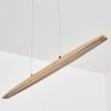 Fugelsta Hanglamp, Hanglamp LED Zwart, 1-licht