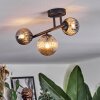Chehalis Plafondlamp, Kogellampje Amber, Rookkleurig, 3-lichts