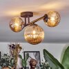 Chehalis Plafondlamp, Kogellampje Amber, 3-lichts