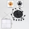 Ripoll Hanglamp, Kogellampje, Cluster hanglamp Amber, Rookkleurig, 5-lichts Ripoll Hanglamp, Kogellampje, Cluster hanglamp Amber, Rookkleurig, 5-lichts