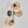 Gastor Kogellampje, Wandlamp Goud, Zwart, 3-lichts