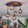 Chehalis Plafondlamp, Kogellampje Rookkleurig, 5-lichts