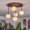 Chehalis Plafondlamp, Kogellampje Wit, 5-lichts