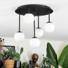 Chehalis Plafondlamp, Kogellampje Wit, 5-lichts