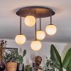 Chehalis Plafondlamp, Kogellampje Wit, 5-lichts