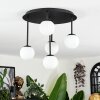 Chehalis Plafondlamp, Kogellampje Wit, 5-lichts
