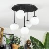 Chehalis Plafondlamp, Kogellampje Wit, 5-lichts
