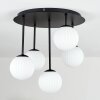 Chehalis Plafondlamp, Kogellampje Wit, 5-lichts