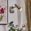 Firan Wandlamp, Muurspot LED Chroom, Nikkel mat, 1-licht