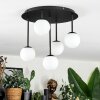 Chehalis Plafondlamp, Kogellampje Wit, 5-lichts