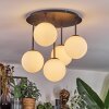 Chehalis Plafondlamp, Kogellampje Wit, 5-lichts
