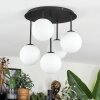 Chehalis Plafondlamp, Kogellampje Wit, 5-lichts