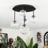 Chehalis Plafondlamp, Kogellampje Duidelijk, 5-lichts