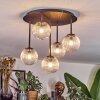 Chehalis Plafondlamp, Kogellampje Duidelijk, 5-lichts