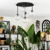 Chehalis Plafondlamp, Kogellampje Duidelijk, 5-lichts