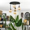 Chehalis Plafondlamp, Kogellampje Amber, 5-lichts