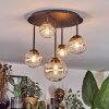 Chehalis Plafondlamp, Kogellampje 42.5 cm Amber, Duidelijk, 5-lichts