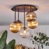 Chehalis Plafondlamp, Kogellampje Amber, Duidelijk, Rookkleurig, 5-lichts
