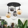 Chehalis Plafondlamp, Kogellampje Amber, Duidelijk, Rookkleurig, 5-lichts