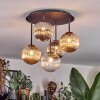 Chehalis Plafondlamp, Kogellampje Amber, Duidelijk, Rookkleurig, 5-lichts
