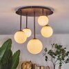Chehalis Plafondlamp, Kogellampje Wit, 5-lichts