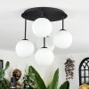 Chehalis Plafondlamp, Kogellampje Wit, 5-lichts