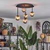Chehalis Plafondlamp, Kogellampje Rookkleurig, 5-lichts Chehalis Plafondlamp, Kogellampje Rookkleurig, 5-lichts
