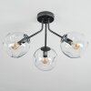 Ripoll Plafondlamp, Kogellampje Duidelijk, 3-lichts
