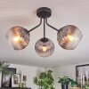 Koyoto Plafondlamp, Kogellampje Duidelijk, Rookkleurig, 3-lichts