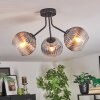 Koyoto Plafondlamp, Kogellampje Duidelijk, Rookkleurig, 3-lichts