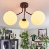 Gastor Plafondlamp, Kogellampje Wit, 3-lichts