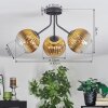 Koyoto Plafondlamp, Kogellampje Goud, Duidelijk, 3-lichts