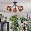 Koyoto Plafondlamp, Kogellampje 52 cm Duidelijk, Koperkleurig, 5-lichts