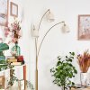 Bassagoda Staande lamp Messing, Zwart, 3-lichts